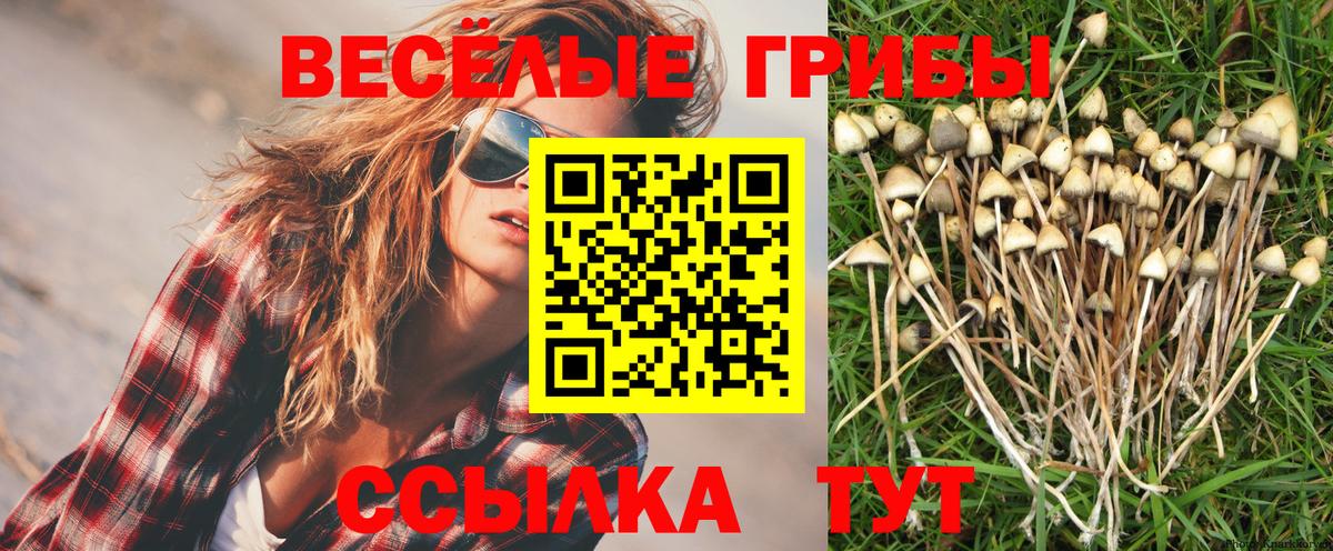 Псилоцибиновые грибы Magic Shrooms Городец