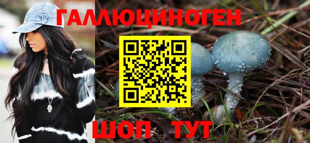 Галлюциногенные грибы мицелий  Вход с VPN  Городец 